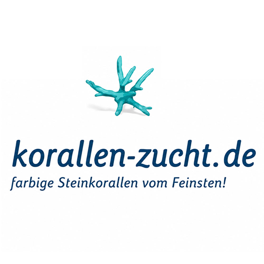 Korallen Zucht