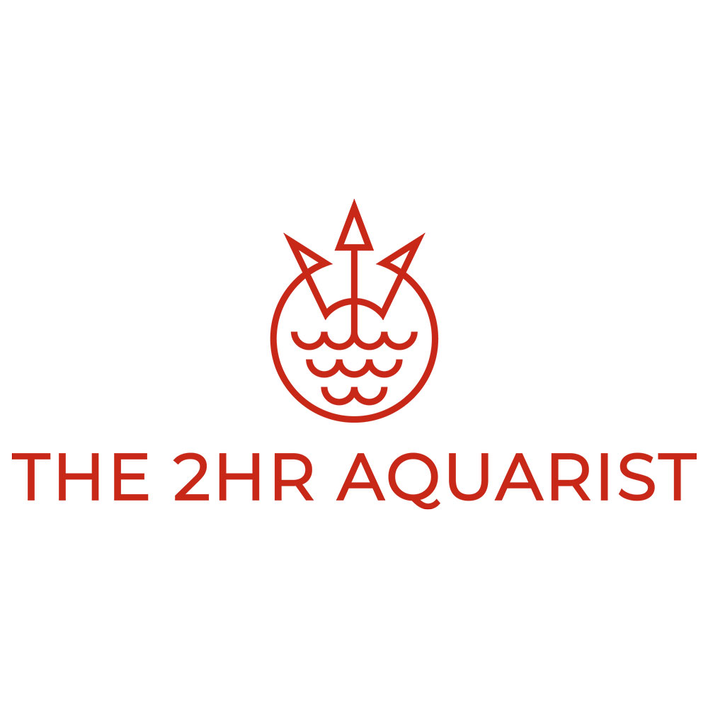 The 2HR Aquarist