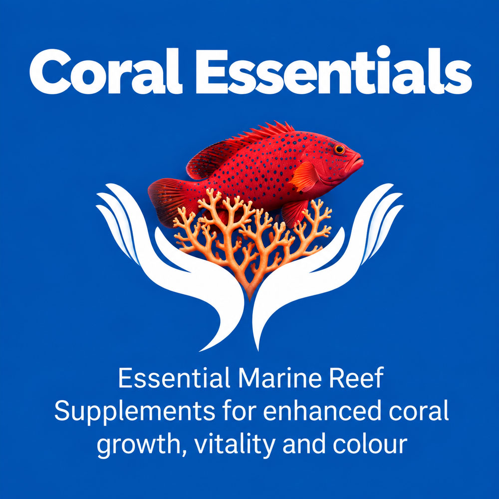 Coral Essentials