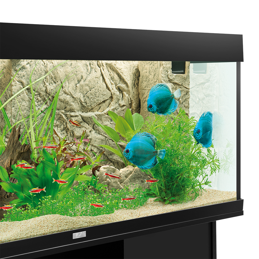 Juwel Sfondo interno 3D Cliff Light 60x55 cm