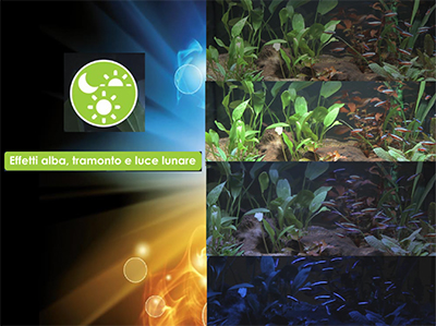 Askoll Acquario Pure LED XL White 76x36x43,5h cm 94Lt