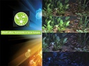 Askoll Acquario Pure LED M Absolute Black 36x36x43,5h cm 44Lt