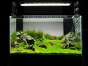 Ada Aquasky 301 Plafoniera a Led per Dolce 7000K° per vasche da 30cm