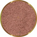 Shg Premium Cisti di Artemia 10g