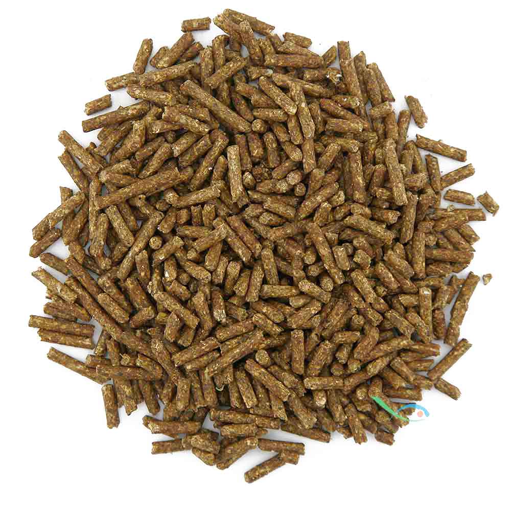 Dr. Bassleer Shrimp Sticks per gamberetti 100ml 60g