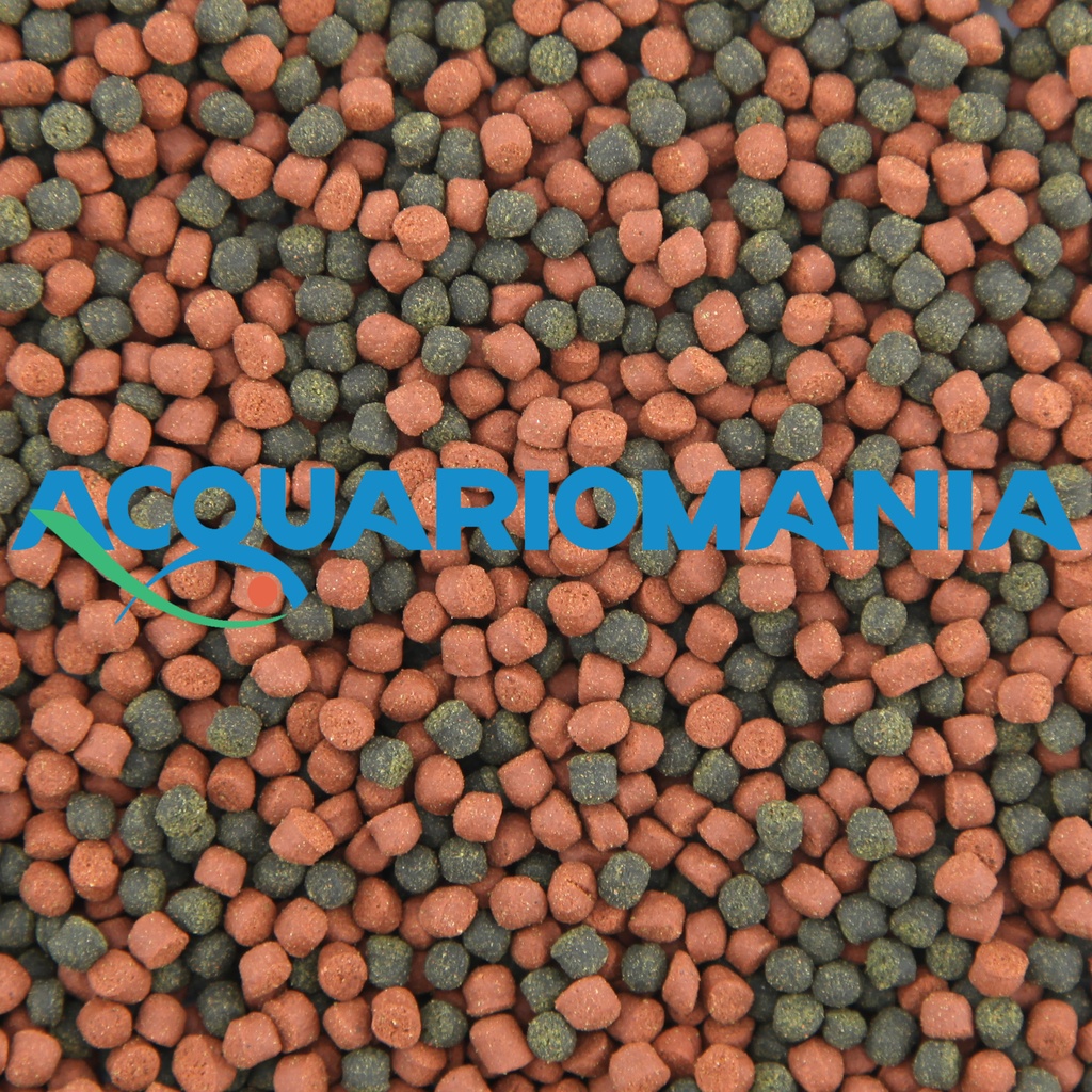 Shg Premium Marino Large 50gr