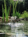 Pontec Pondo Vario 3500 Pompa per laghetto con giochi d'acqua 3500l/h