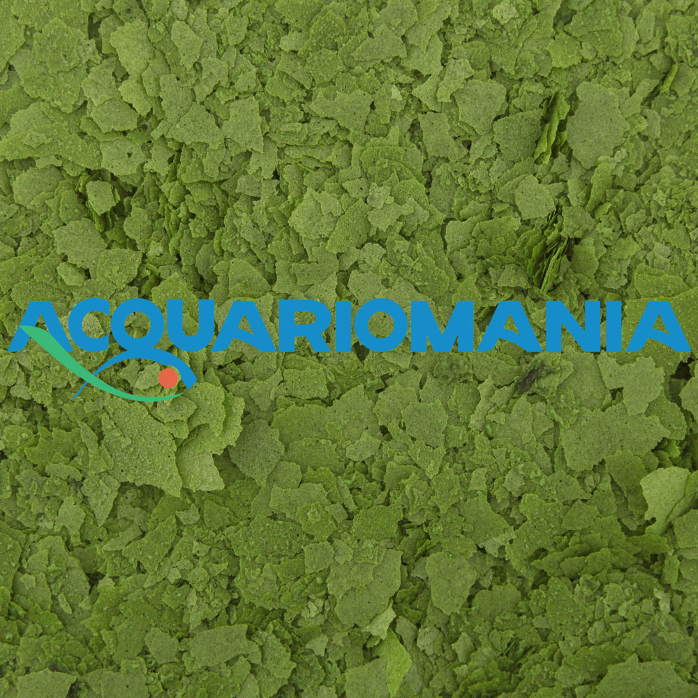 Shg Spirulina in Fiocchi 75g