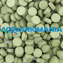 Shg Plecotabs Pastiglia da fondo per pesci vegetariani 60g