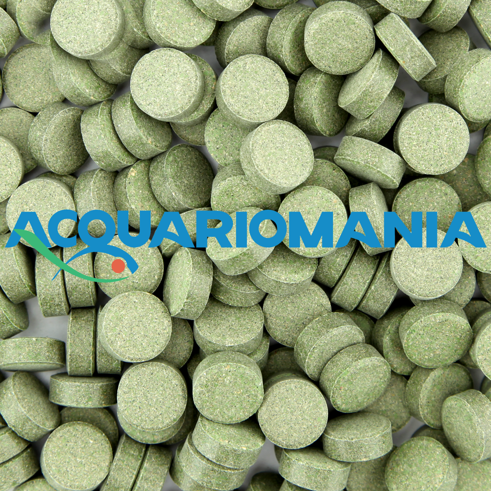 Shg Plecotabs Pastiglia da fondo per pesci vegetariani 150g