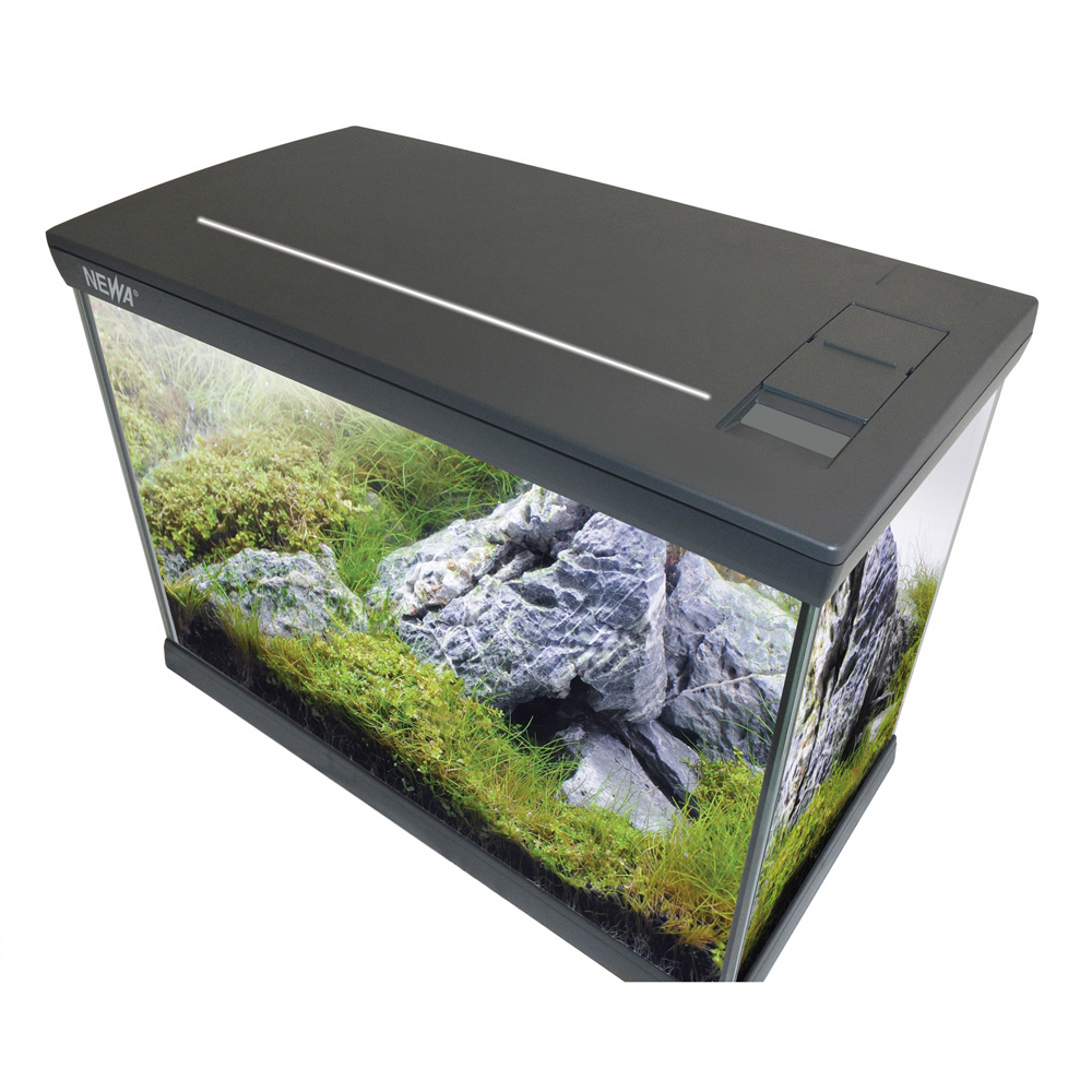 Newa Mirabello 30 Young Led Acquario 30 litri Antracite New 2021