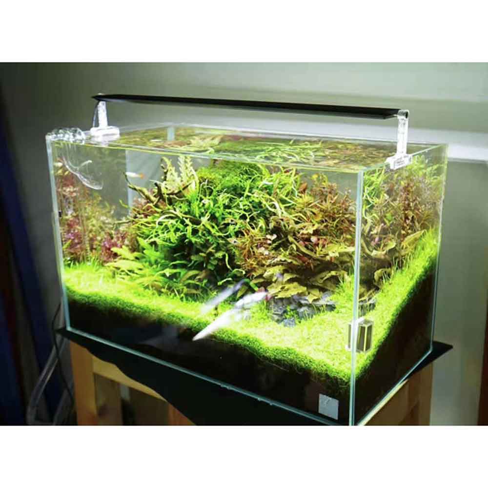 Chihiros Lampada a Led AII601 26W 60cm