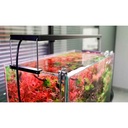 Chihiros WRGB 30 II Pro Plafoniera Led per Acqua dolce Nero 37W da 30 a 45cm