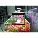 Chihiros WRGB 80 II Pro Plafoniera Led per Acqua dolce Nero 100W da 80 a 100cm