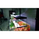 Chihiros WRGB 90 II Pro Plafoniera Led per Acqua dolce Nero 110W da 90 a 110cm