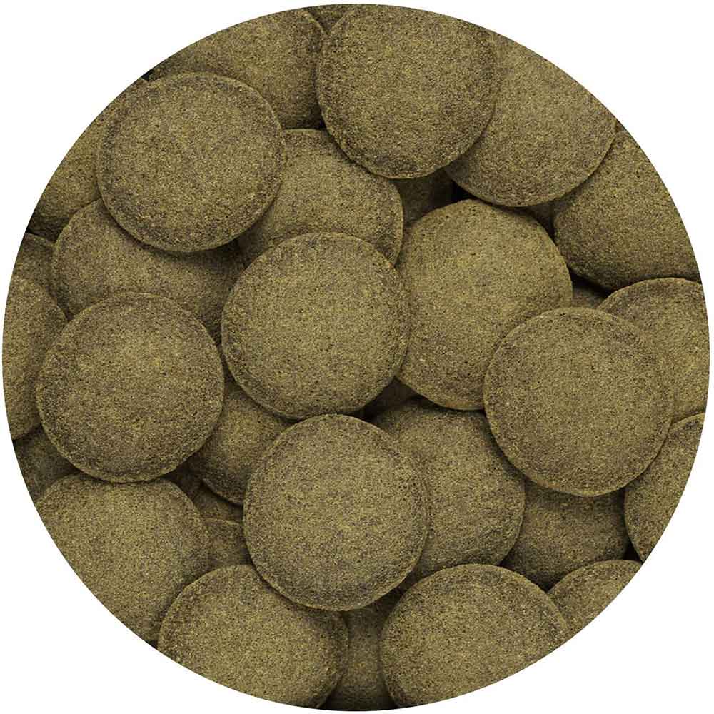 Hikari Algae Wafers per Pulitori e altri pesci vegetariani 82g