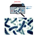 Maxspect Nano Tech Anaerobic Block Antinitrati fino a 1000 Litri