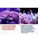 Maxspect Nano Tech Phosphree Antifosfati 500ml