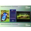 Askoll Fluval Siena 330 Combo Acquario con Supporto Graphite 110x55x55h cm