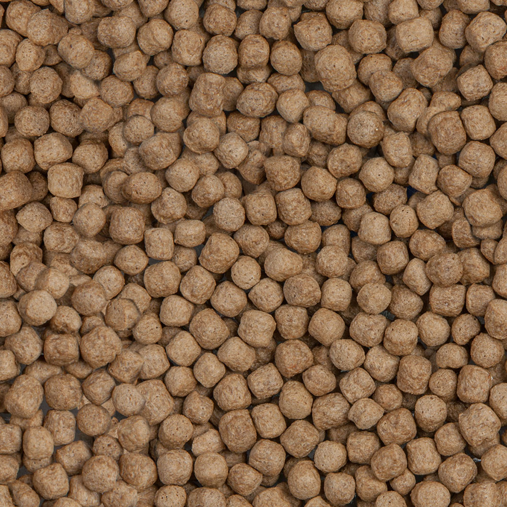 Sera Koi Royal Nature Large 10l 2,9Kg