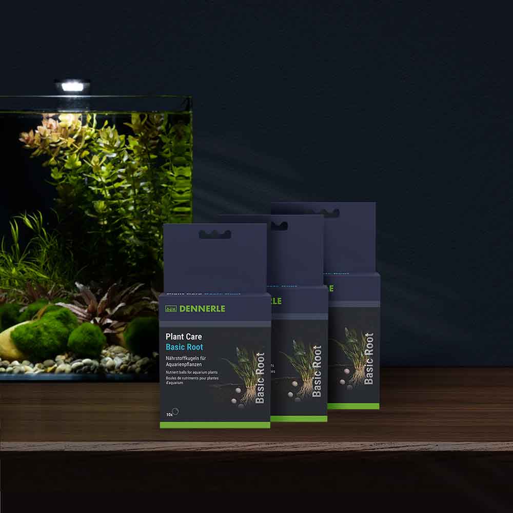 Dennerle Plant Care Basic Root Pastiglie Fertilizzanti 20pcs