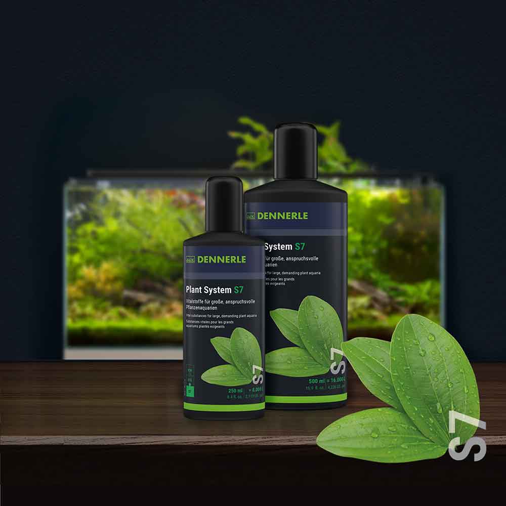Dennerle Plant Sytem S7 Vitamine per Piante e Pesci 500ml