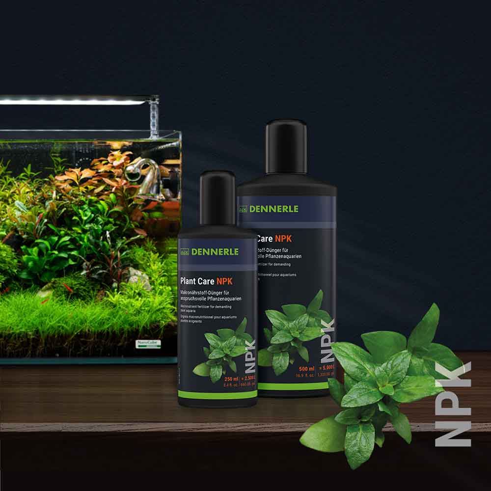 Dennerle Plant Care NPK Fertilizzante avanzato 500ml
