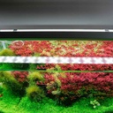 Chihiros B120 Plafoniera Led RGB con Controller per vasche 120-140cm 51W