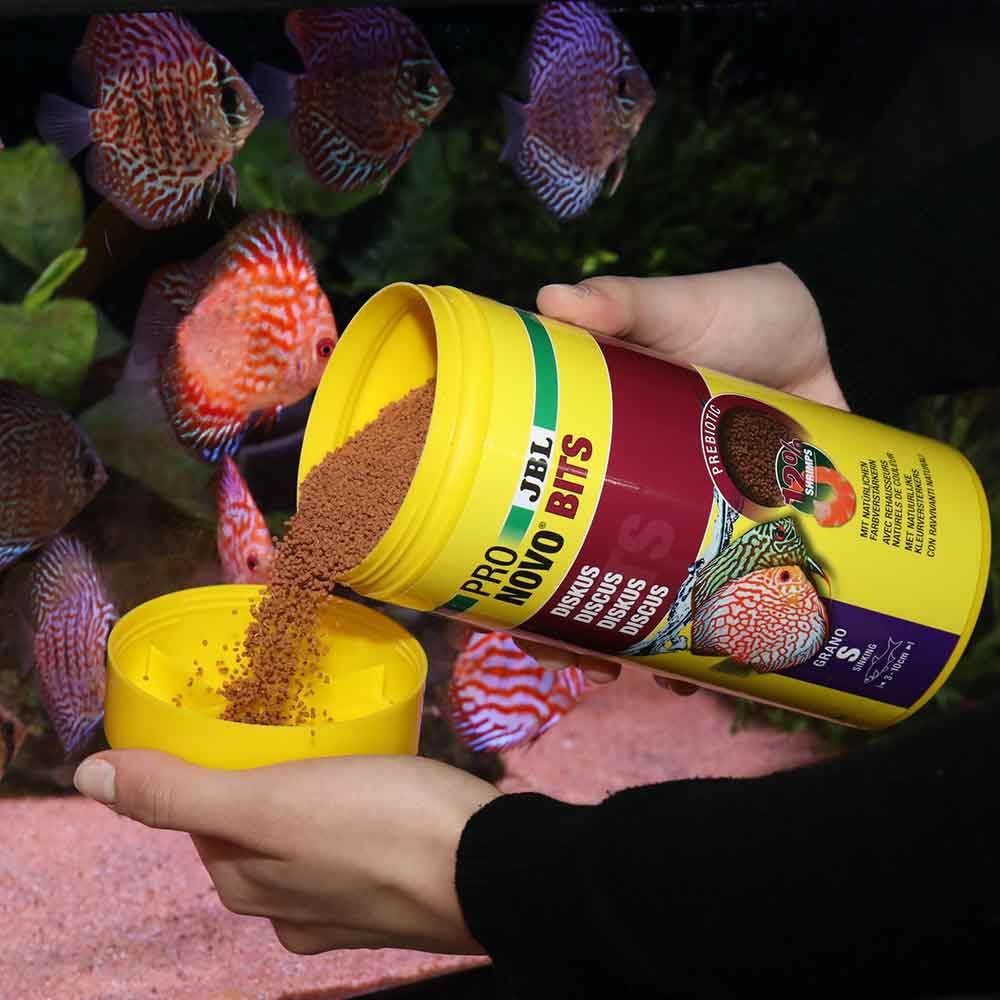 Jbl ProNovo Bits Diskus Grano S Granulare con Shrimps e Prebiotici 1000ml 480gr