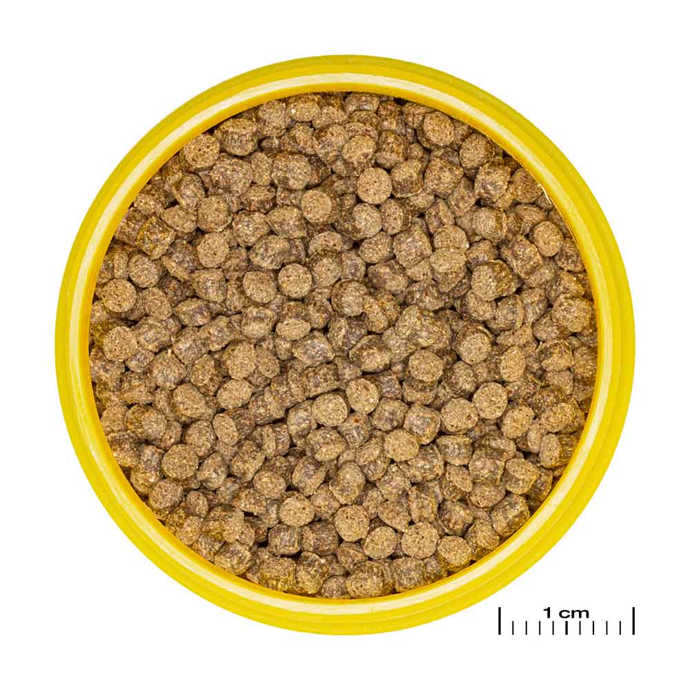 Jbl ProNovo Fantail Grano M Granulare con Shrimps e Prebiotici 1000ml 580gr