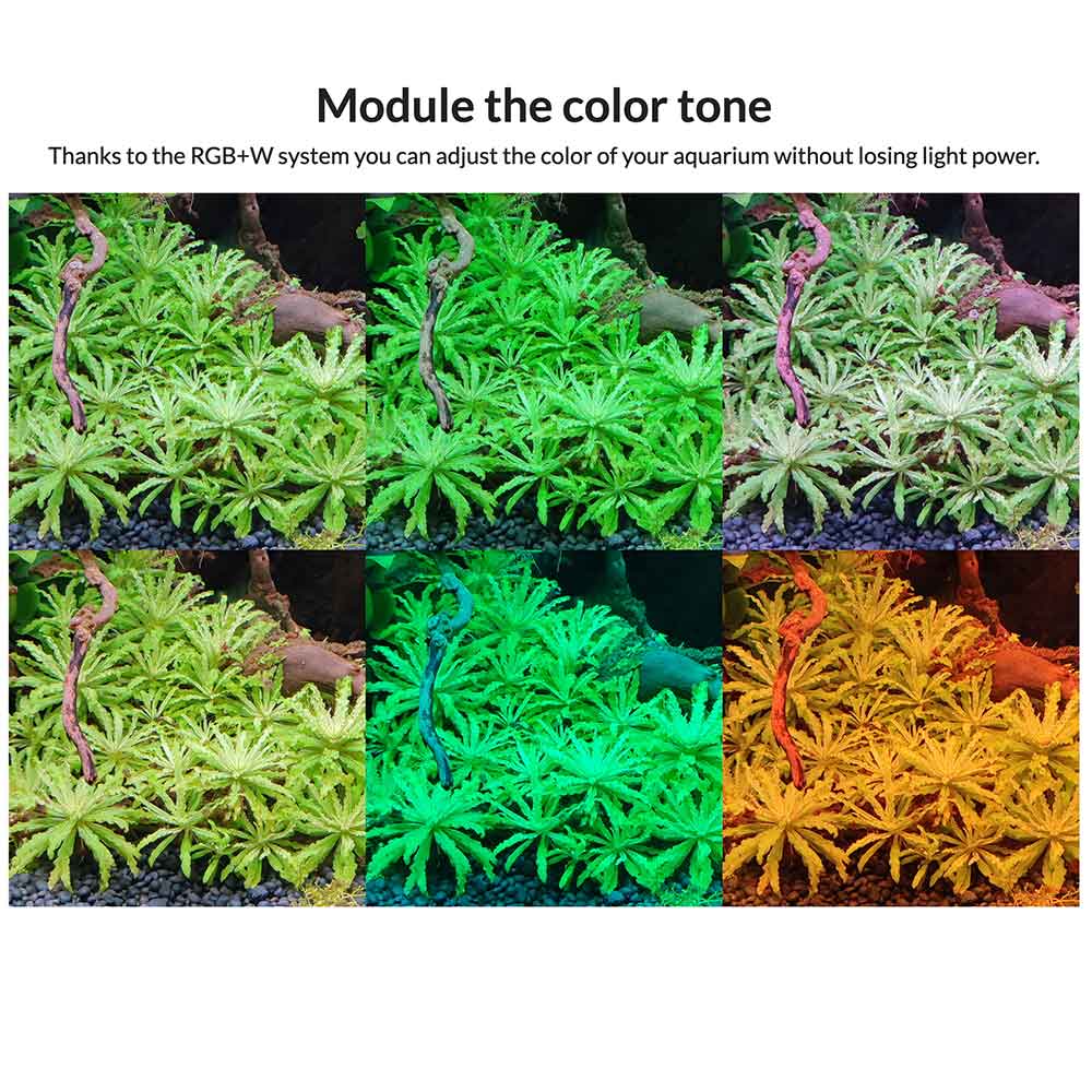 Blau Aquaristic Mini Lumina RGB+ 90cm Acqua dolce 70w