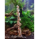 Ziss Aqua Shrimp Lolly Mix Stick Bastoncini ricoperti di cibo specifico per caridine 10pz