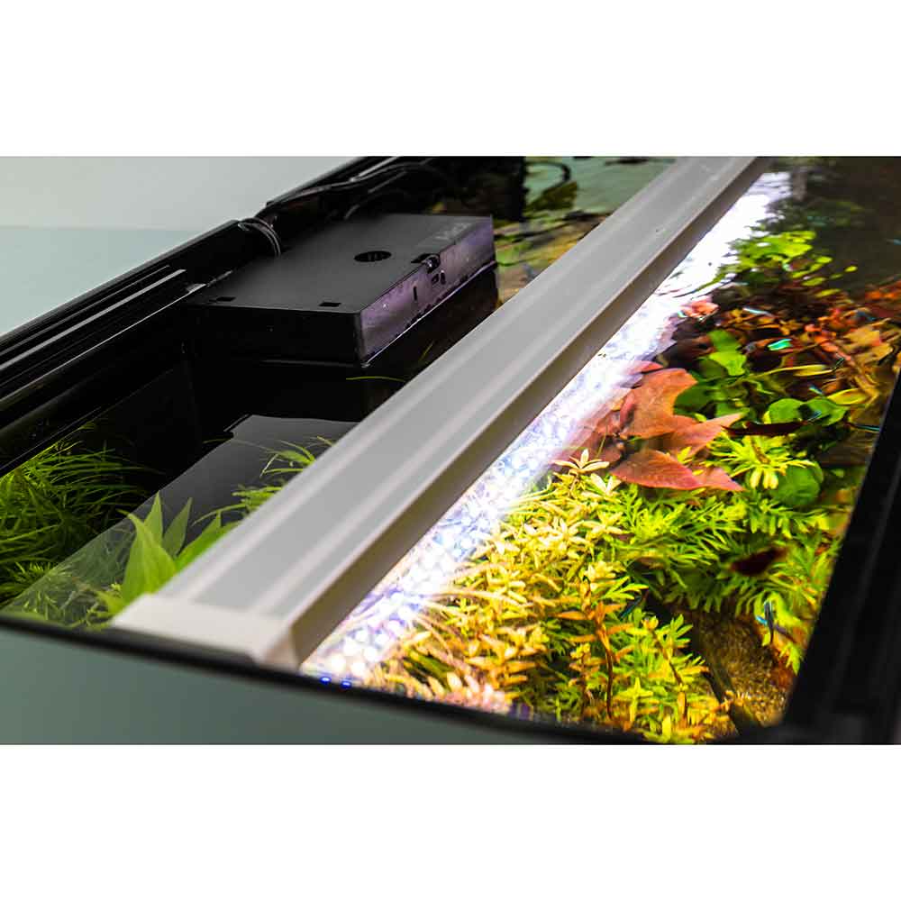 Askoll Opera 150 Acquario completo 150 litri Nero 80x40x50h cm