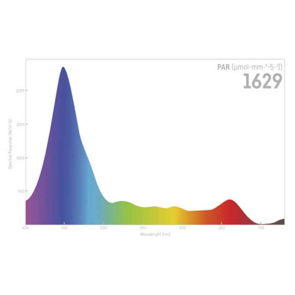 Reef Factory Reef Flare Blue M Lampada Acquario di Barriera White 160W