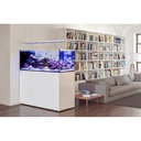 Red Sea REEFER™ Peninsula 700 G2+ Bianco Acquario marino 412lt 125cm