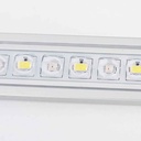 Blau Aquaristic Stick Lumina 60 22W con Controller per vasche da 60-67cm dolce