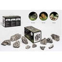 Aquadeco Mini Landschaft Seiryu Rock Set per Acquari di 60 litri circa