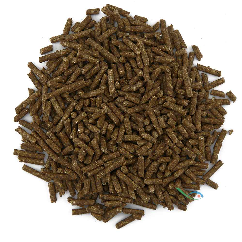 Bassleer SHRIMP STICKS GARLIC 60g 05-28
