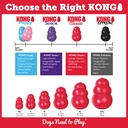 Kong Classic Large Gioco per Cani