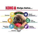 Kong Puppy Medium Gioco per Cani 7-16Kg