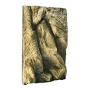 Exoterra Terrario Natural Terrarium Medium 30x30x45cm