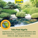 Tetra Pond AlgoFin Antialghe per Laghetto contro le alghe più comuni 250ml per 5000Lt