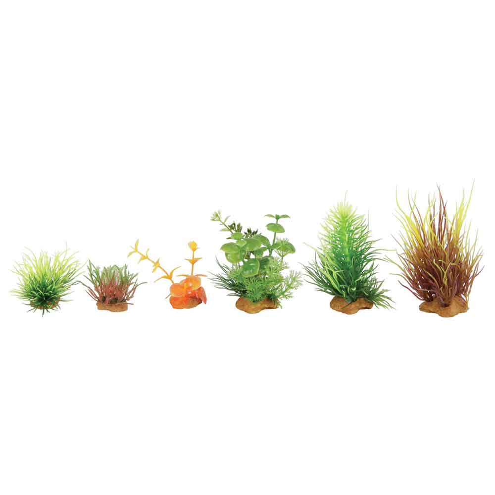 Zolux PlantKit Mini 3 Assortimento 6 piantine in plastica