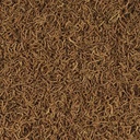 Tropical Red Mico Chironomus liofilizzato 100ml 8g