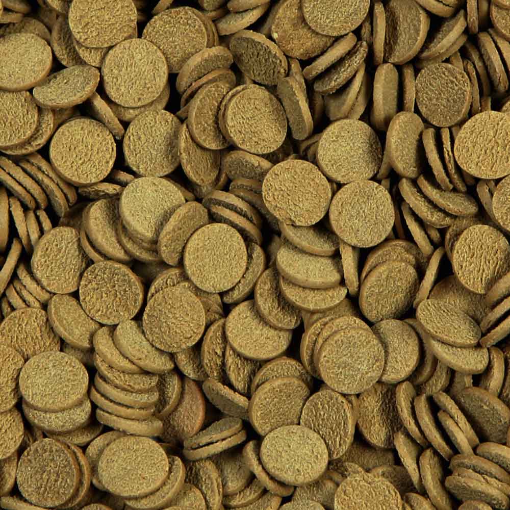 Sera Sterlet Chips Nature Mangime per Storioni 3,8lt 1,7Kg