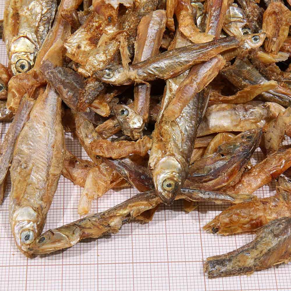 Jbl Proterra Pescarus Pesci e gamberetti leccornia per Tartarughe d'acqua 1000ml 150g