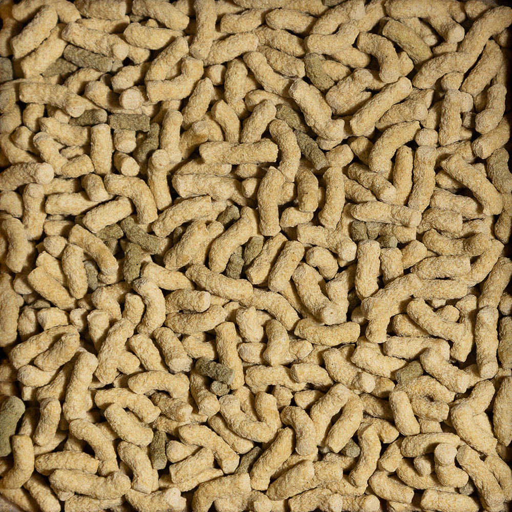Sera Turtle Adult Raffy P Pellets Alimento completo per Tartarughe d'acqua 10l 2,35Kg