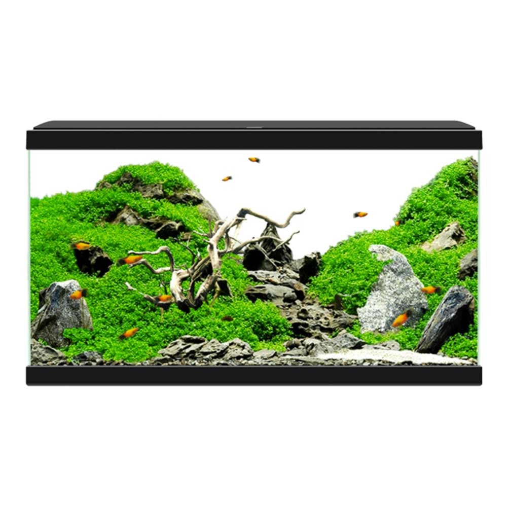 AQUARIUMS 60 BLACK CF80