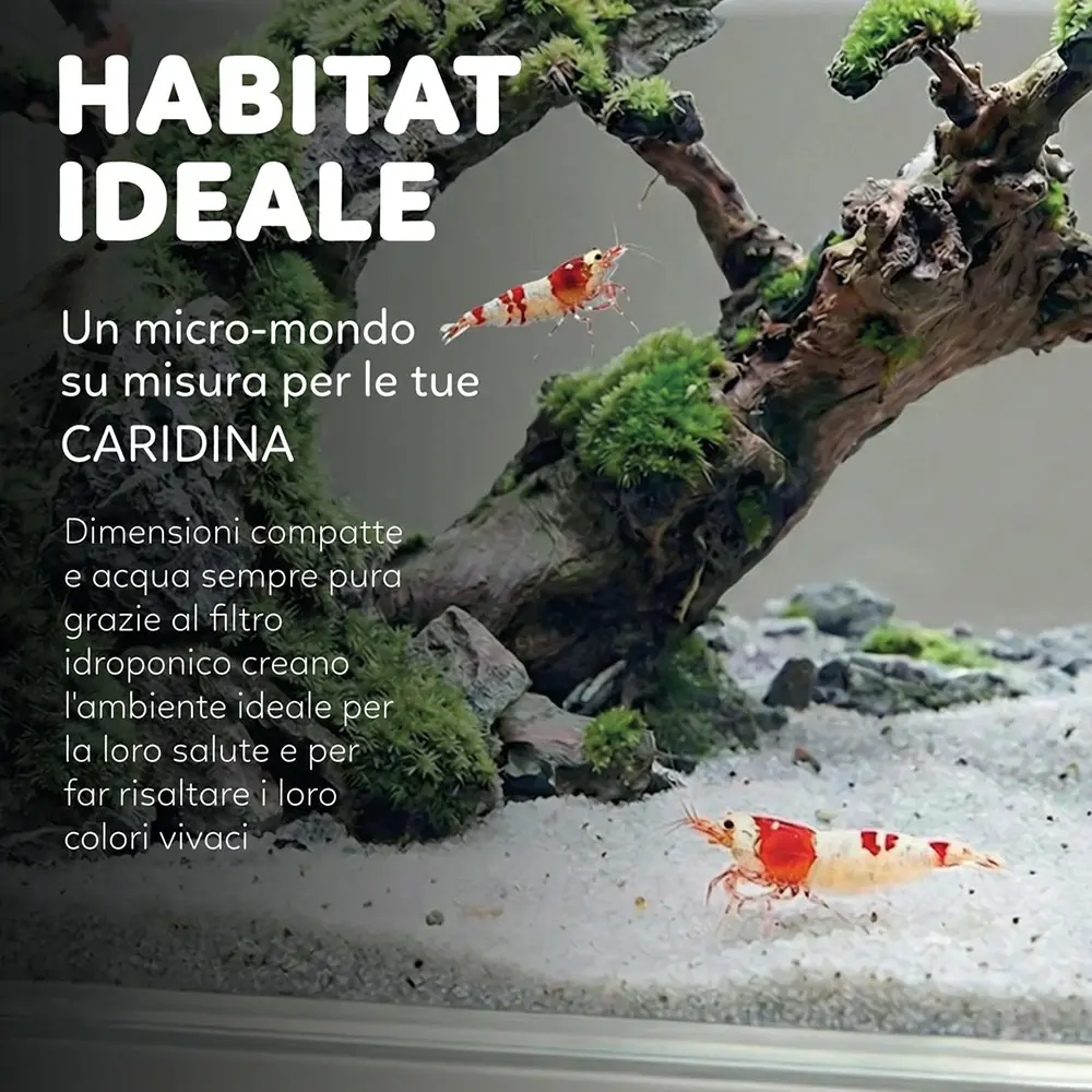 aqpet-mini-acquario-hydo-dettaglio-4.webp