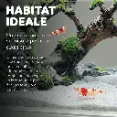 aqpet-mini-acquario-hydo-dettaglio-4.webp